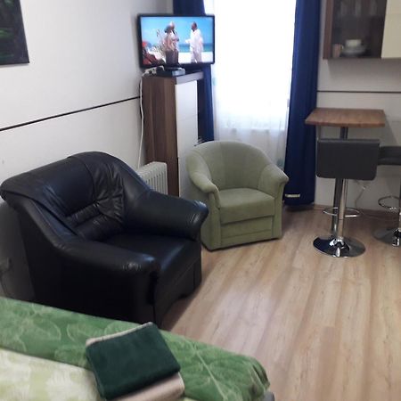 Apartment Ap 1 Im Zentrum Steyr, Bestrooms Eu Екстериор снимка
