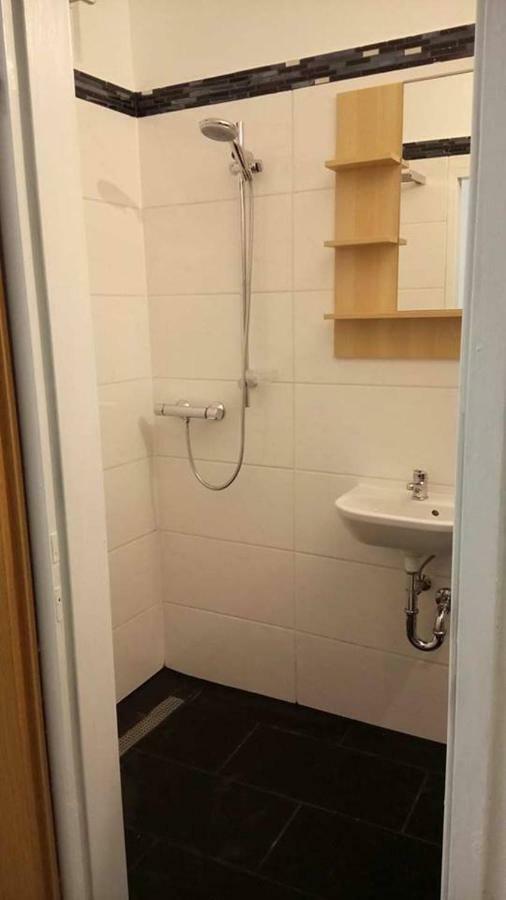 Apartment Ap 1 Im Zentrum Steyr, Bestrooms Eu Екстериор снимка