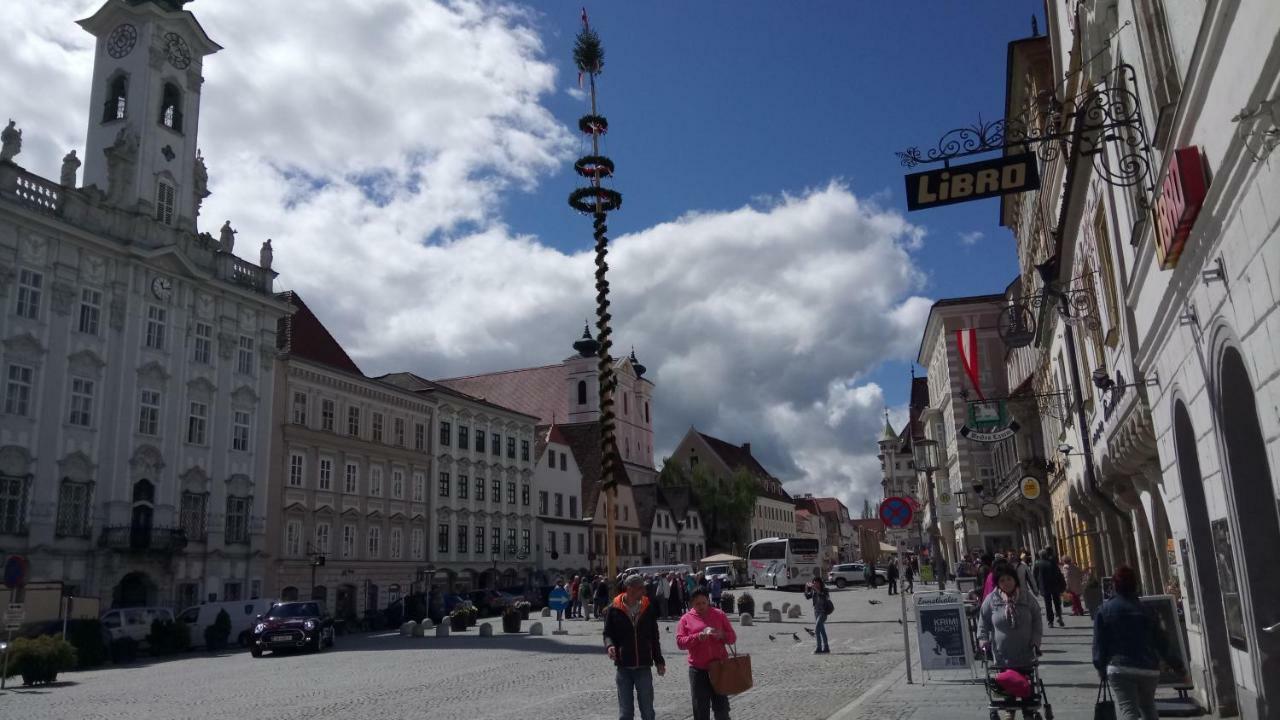 Apartment Ap 1 Im Zentrum Steyr, Bestrooms Eu Екстериор снимка
